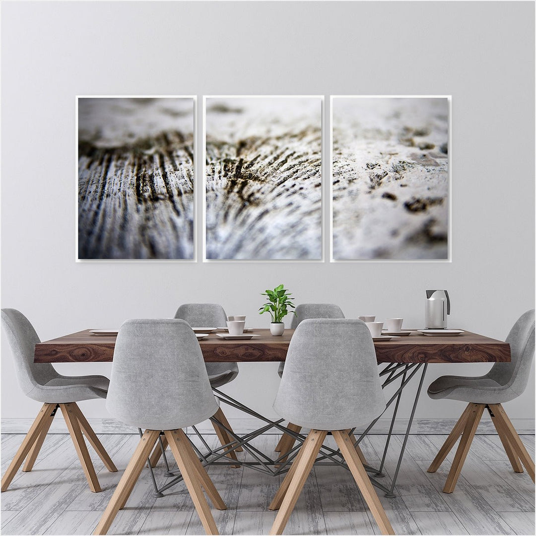 Sea Coral #2 - Set of 3