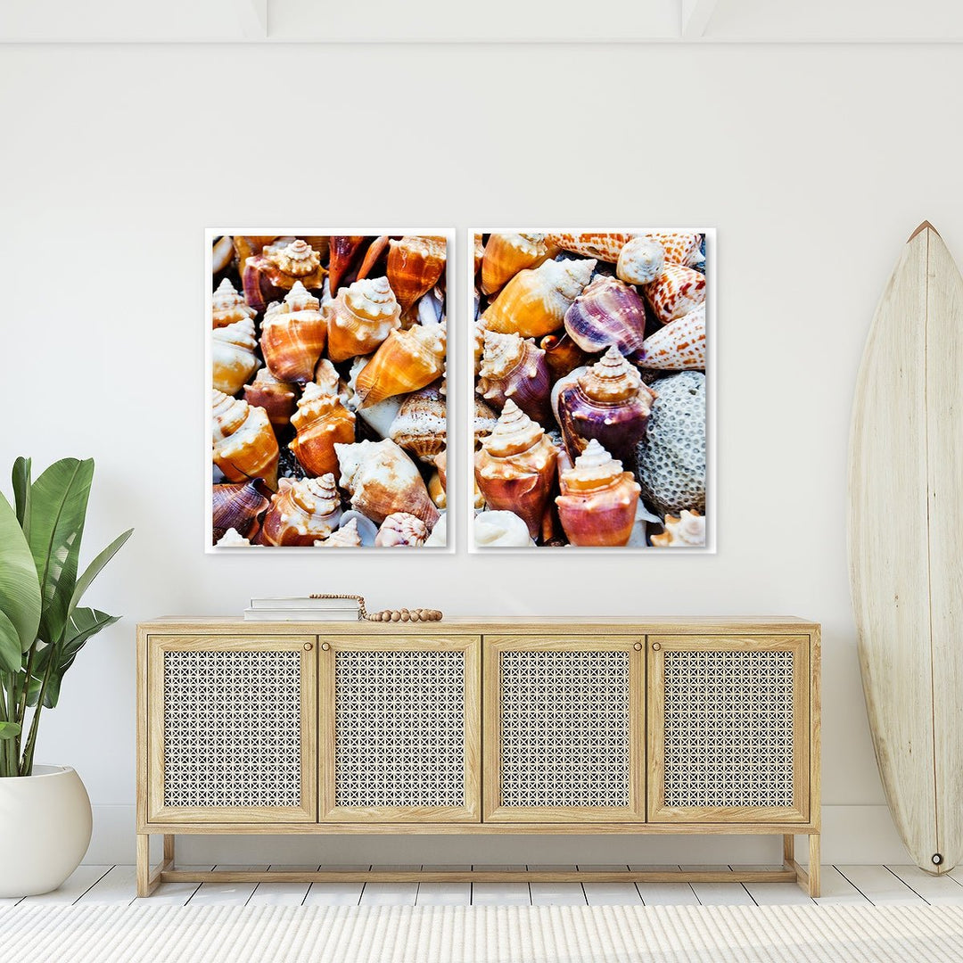 Seashells Beach Print - Set of 2