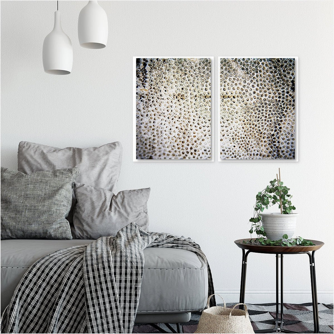 Sea Coral #1 - Set of 2
