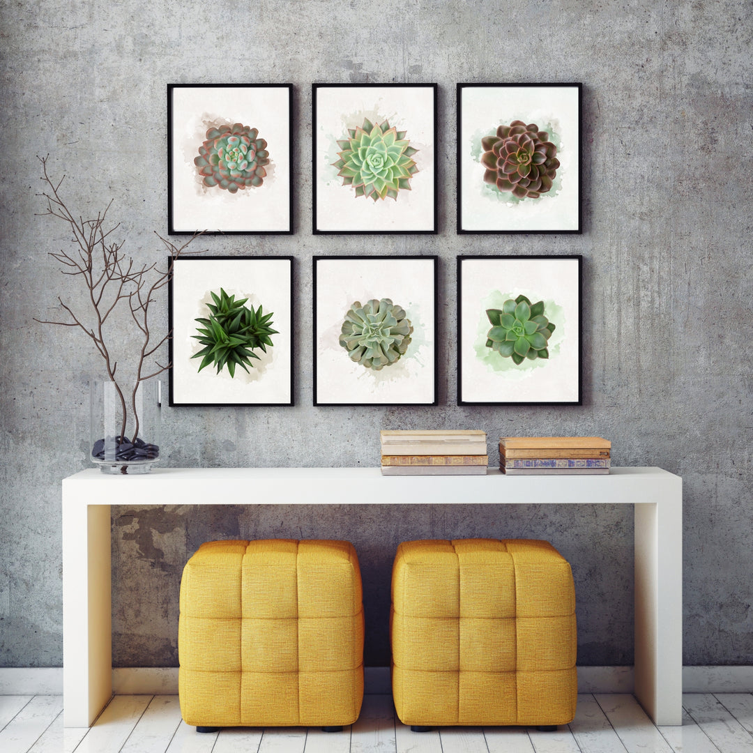Watercolor Succulents - set of 6