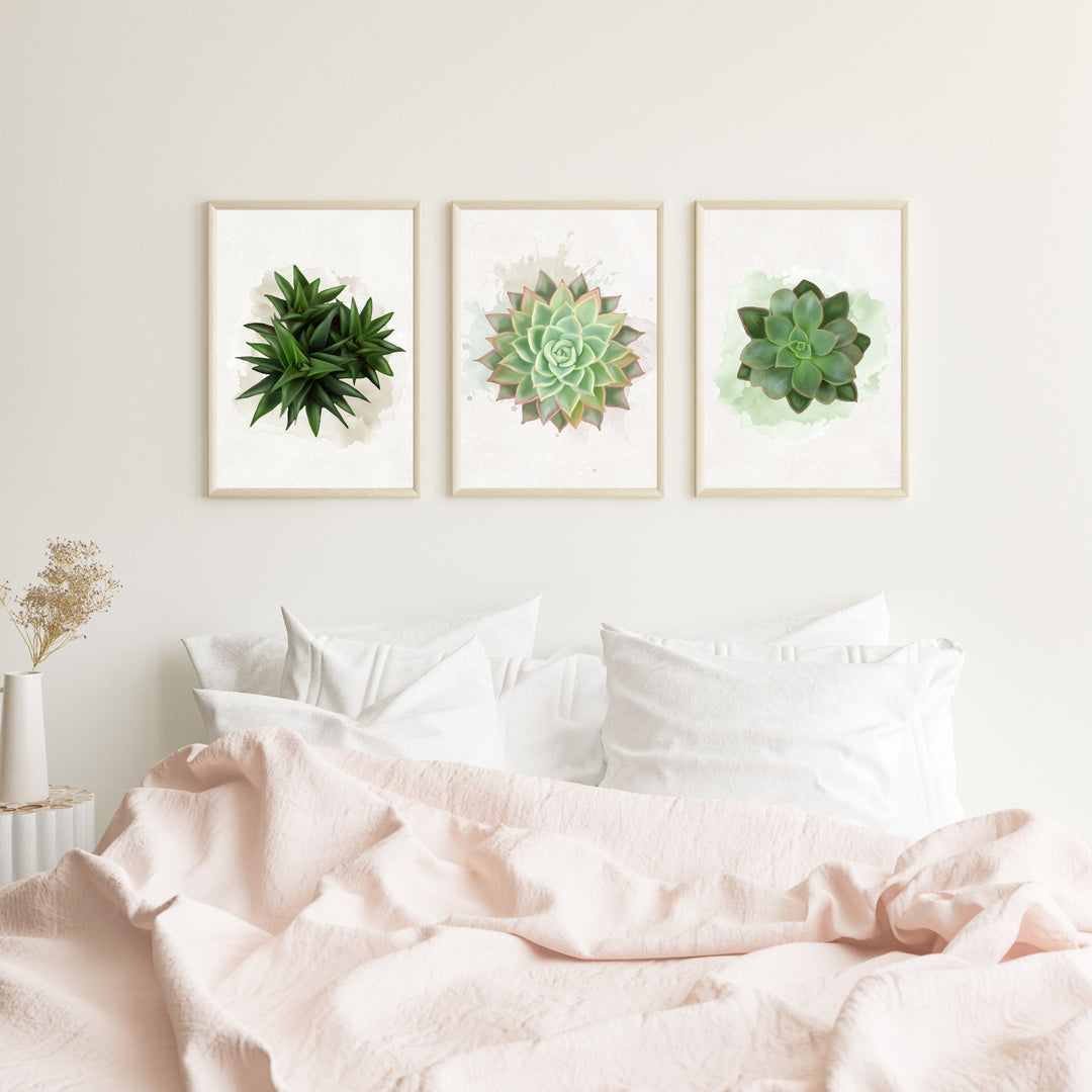 Watercolor Succulents #1 - set of 3
