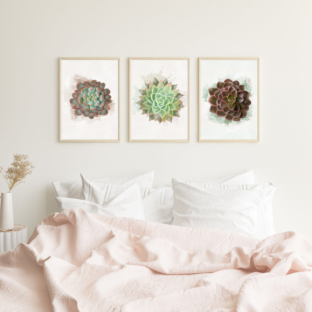 Watercolor Succulents #2- set of 3