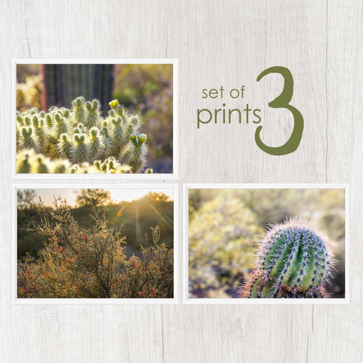 Desert Sunset Arizona Print Collection - Catch A Star Fine Art