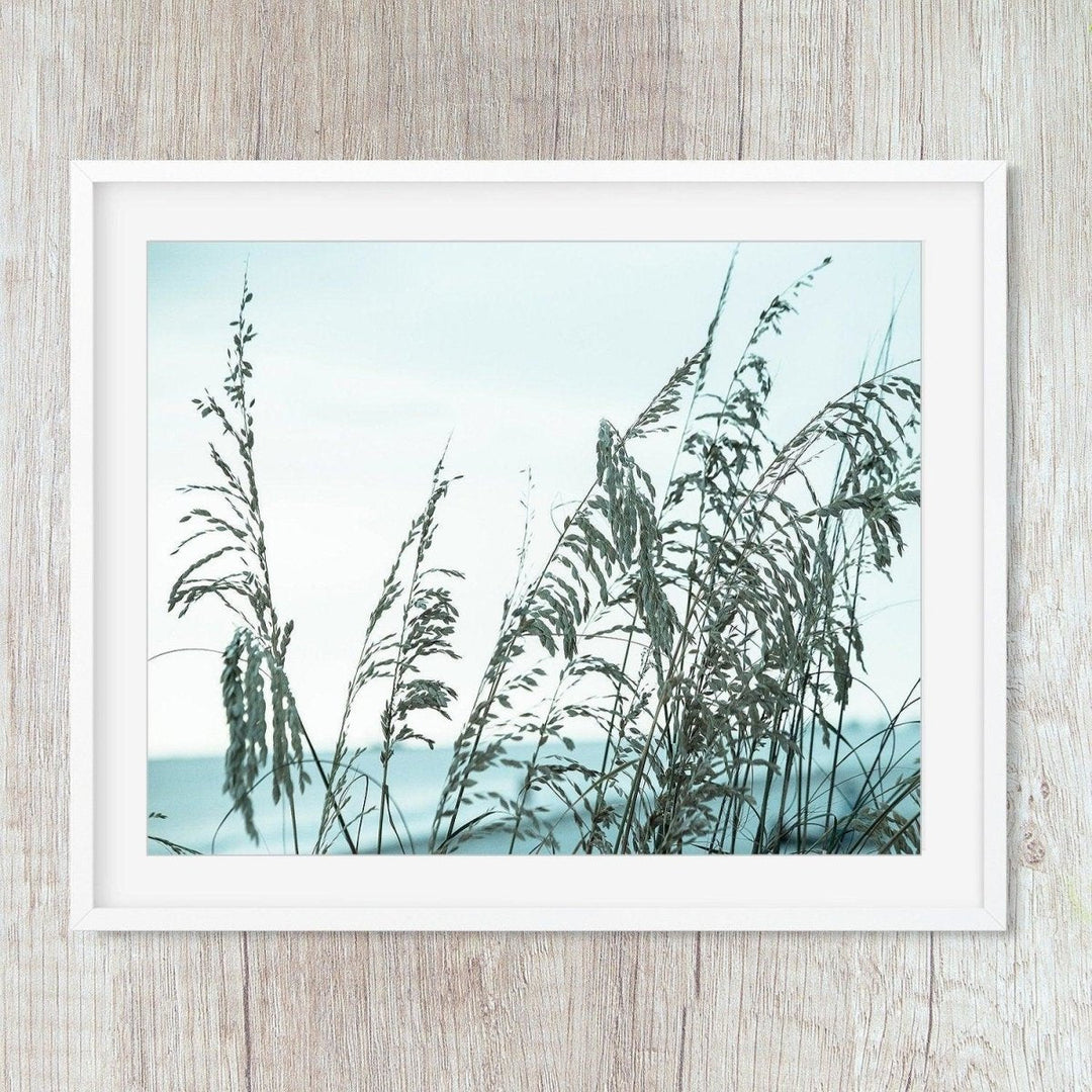 Sea Oats Turquoise Waters #3 - Catch A Star Fine Art
