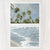 Palm Trees + Shoreline Collection - Catch A Star Fine Art