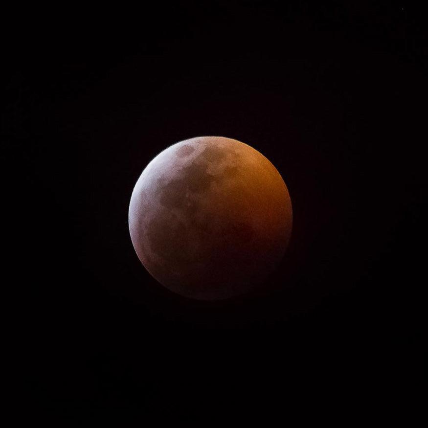 Super Blood Wolf Moon photographed in Southwest Florida in 2019 - Catch A Star Fine Art