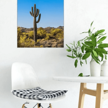 Unearth the Beauty: Desert Print Wall Art in Home Decor