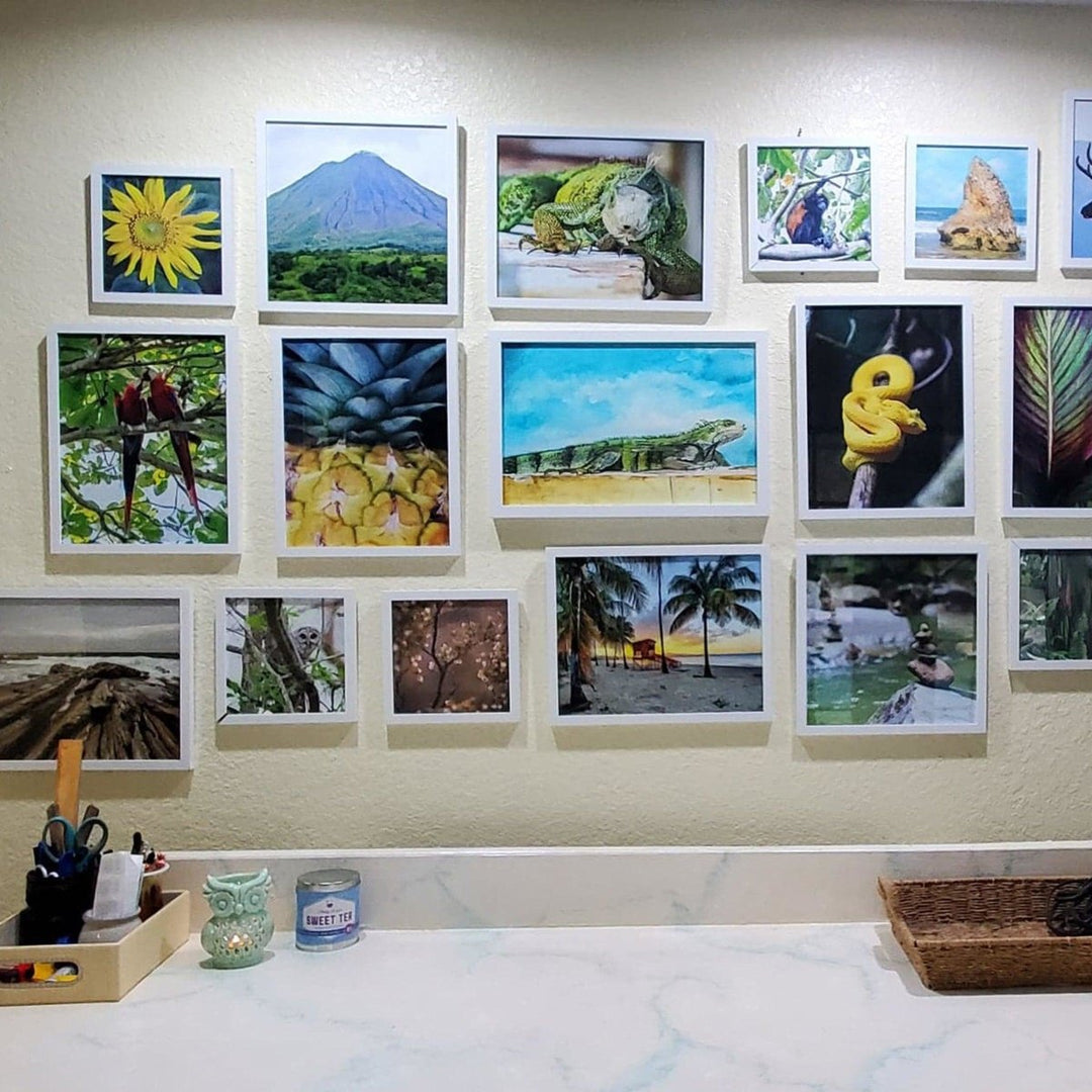 My New Office Wall Art - gallery wall arrangement by Catch A Star Fine Art