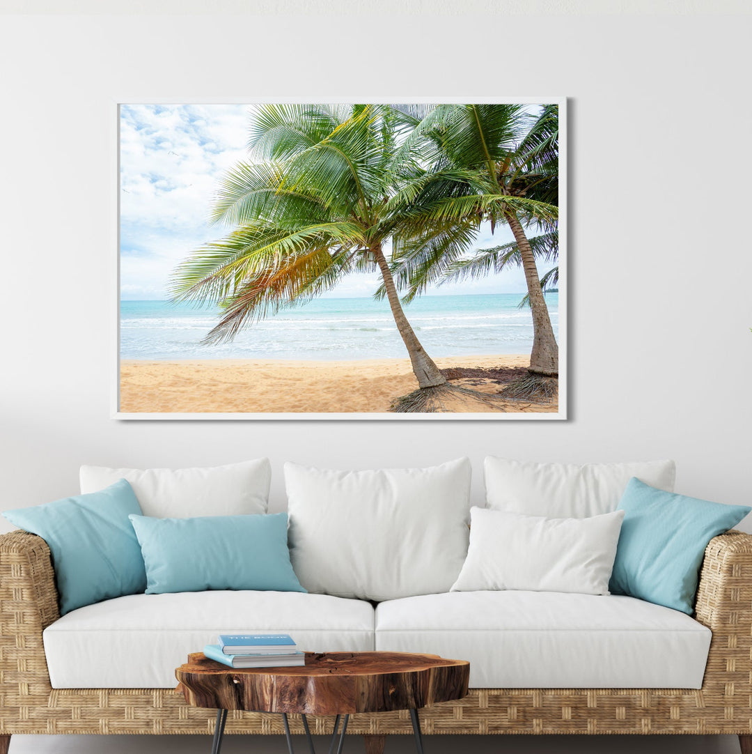 beach | tropical