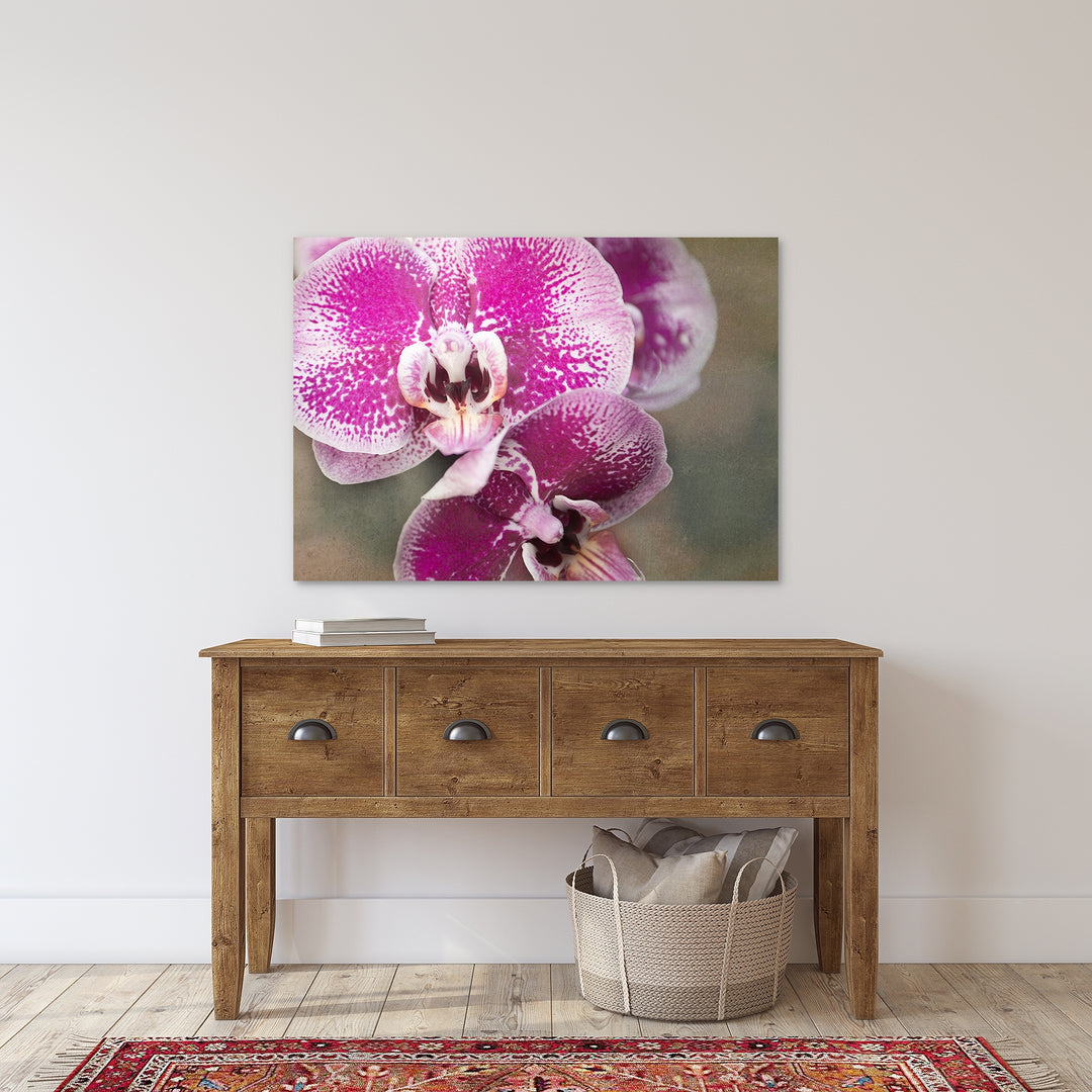 orchids