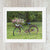 Rusty Bicycle With Flowers Farmhouse Decor - Catch A Star Fine Art