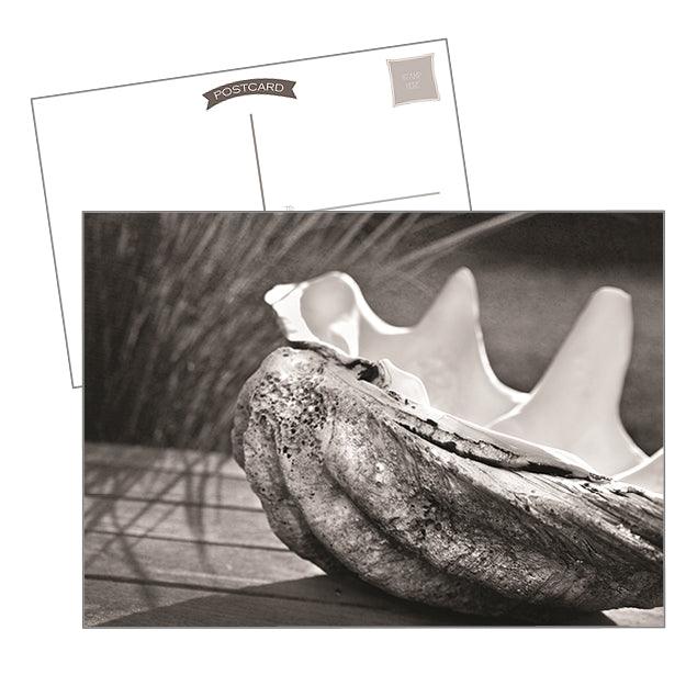 Black & White Beach Postcard Set - Catch A Star Fine Art