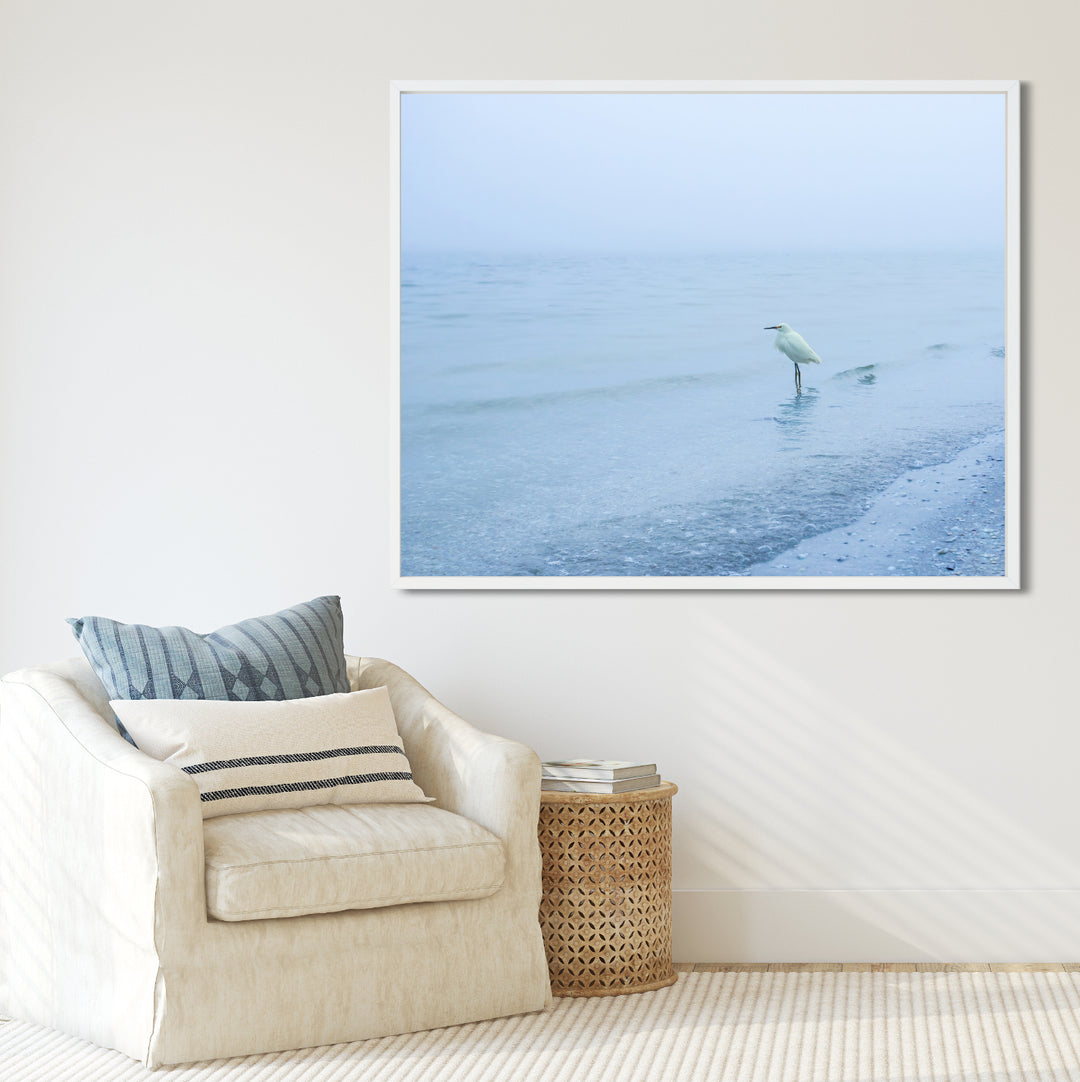 Foggy Shoreline Egret