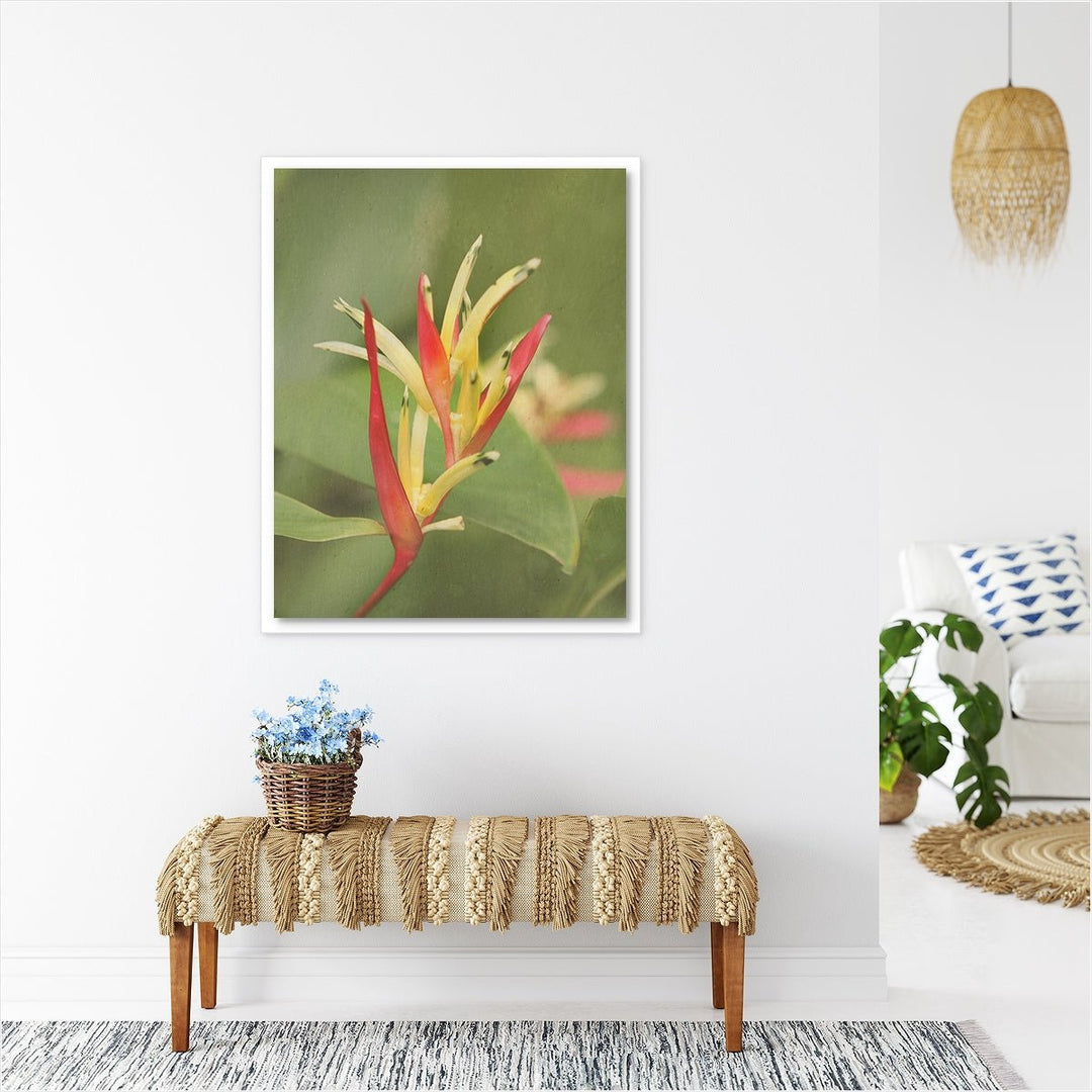 Heliconia #1