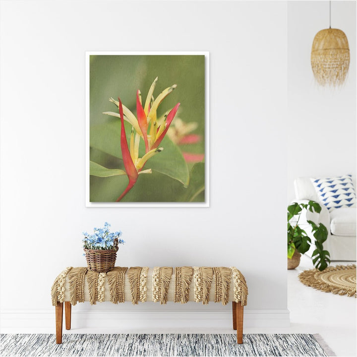 Heliconia #1