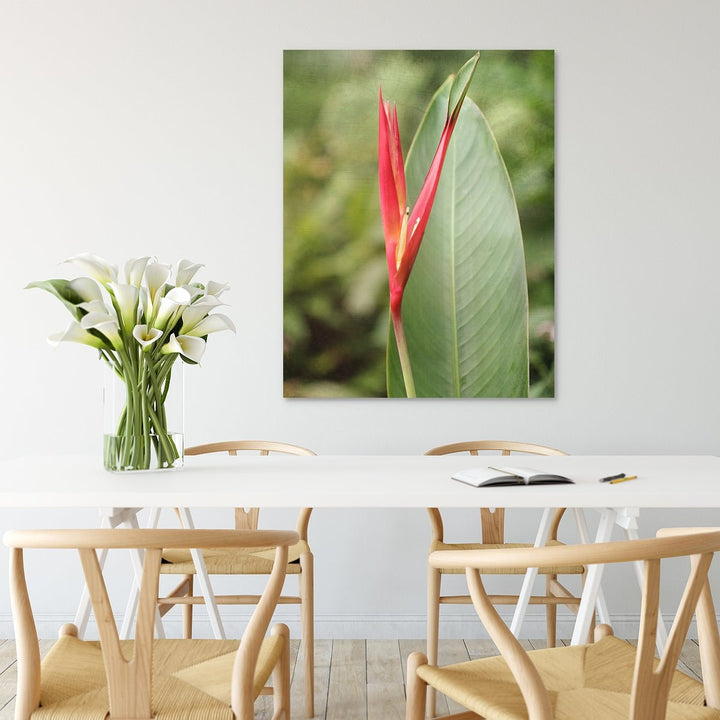 Heliconia #2
