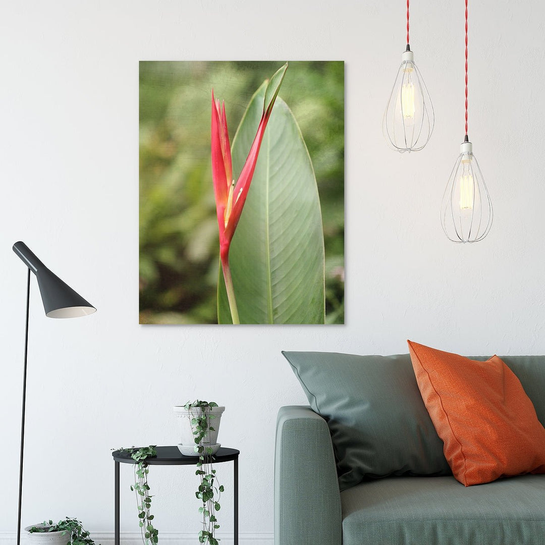 Heliconia #2