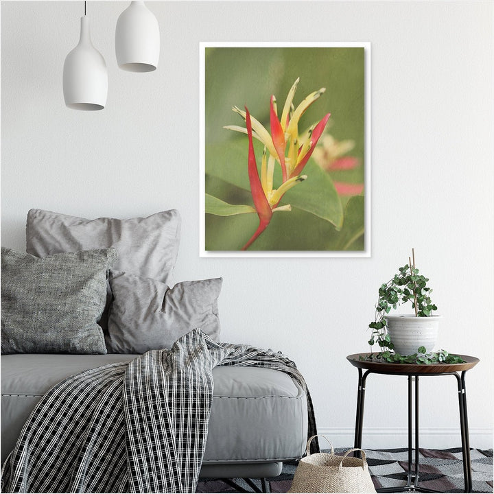 Heliconia #1