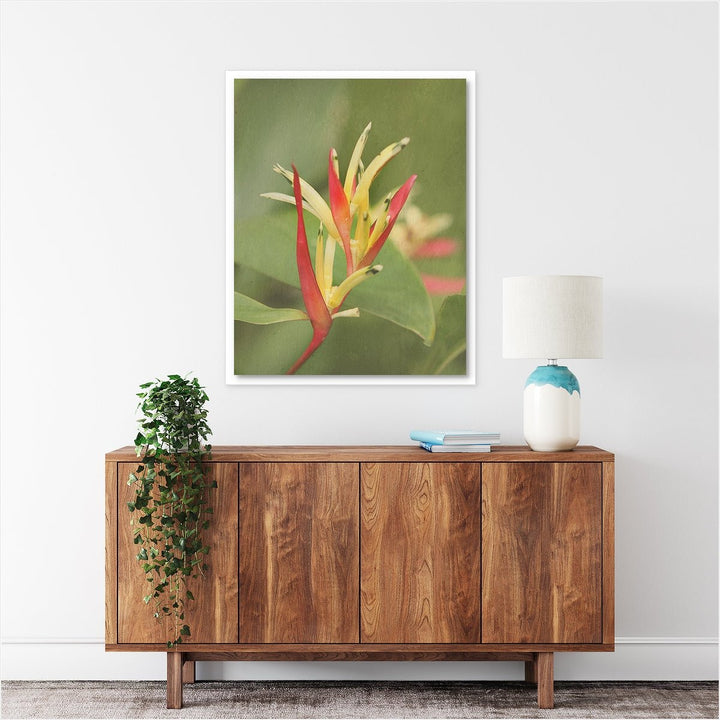Heliconia #1