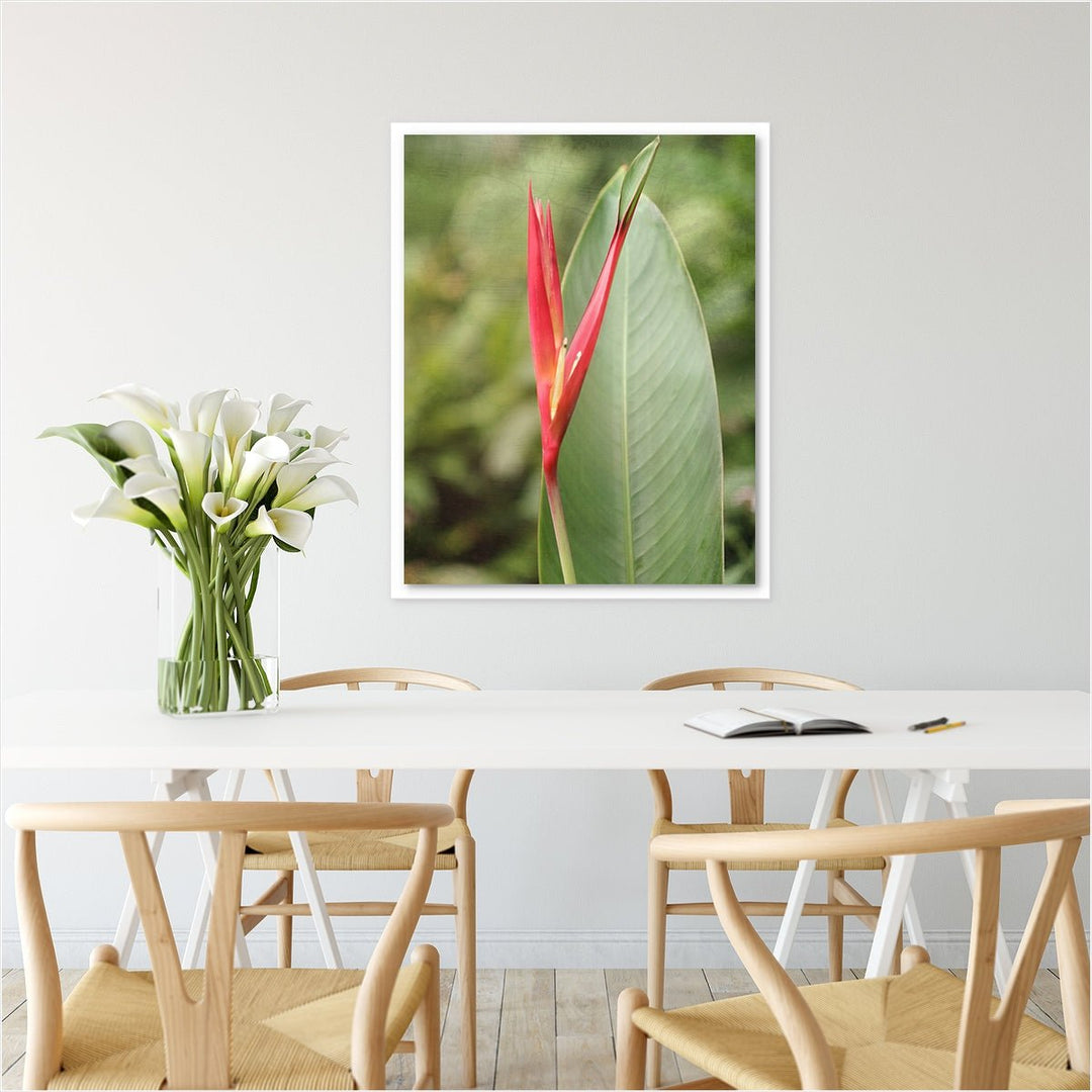 Heliconia #2
