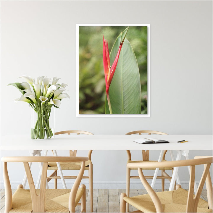 Heliconia #2
