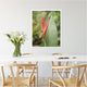 Heliconia #2 - Art Print or Canvas