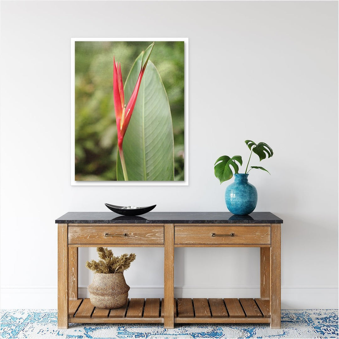 Heliconia #2