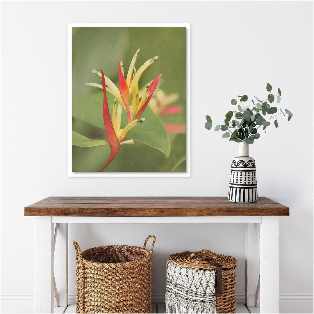 Heliconia #1