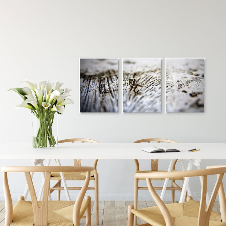 Sea Coral #2 - Set of 3