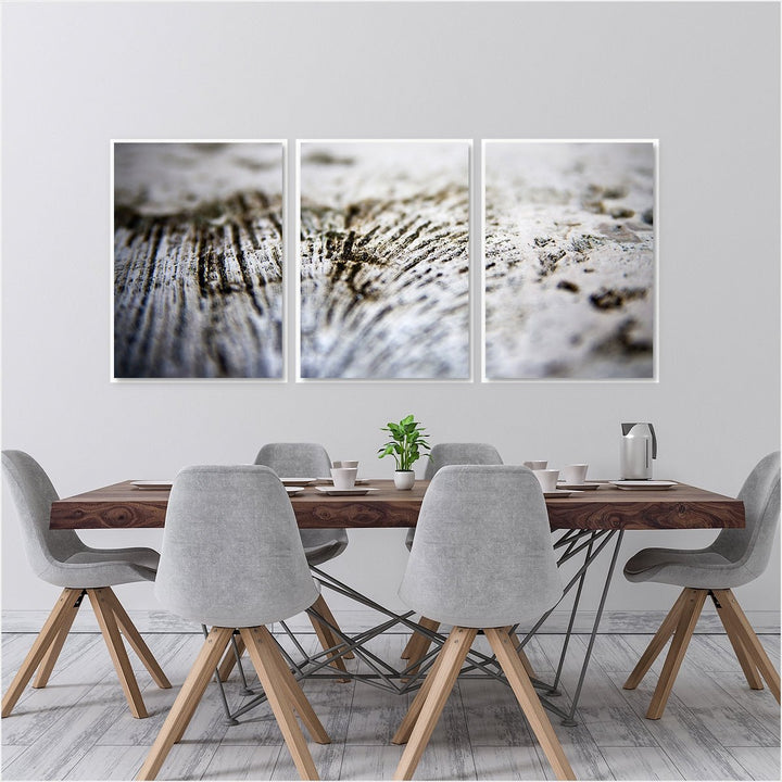 Sea Coral #2 - Set of 3