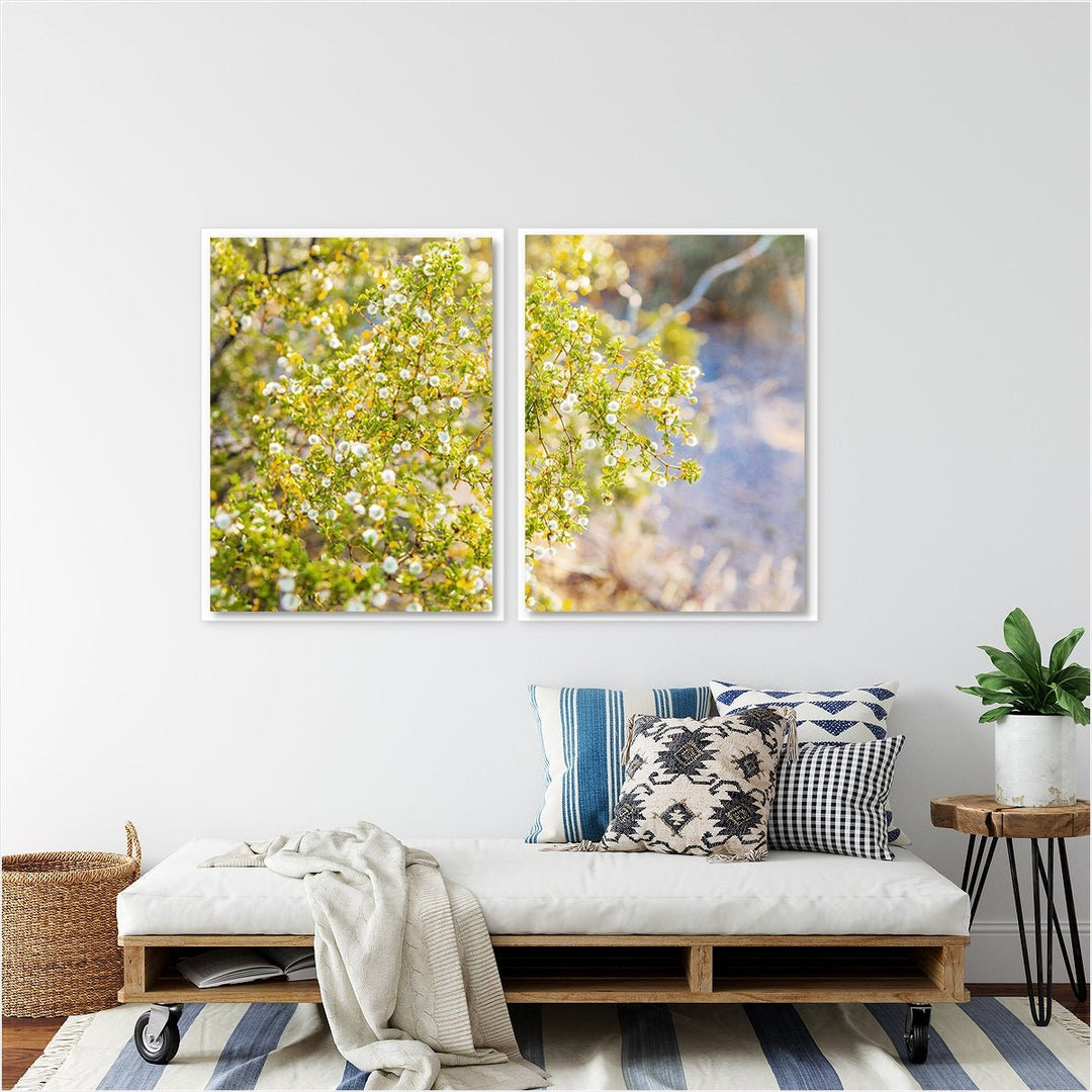Yellow Desert Bloom #2 - Set of 2