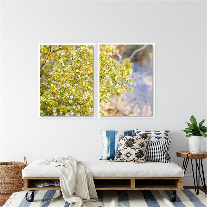 Yellow Desert Bloom #2 - Set of 2