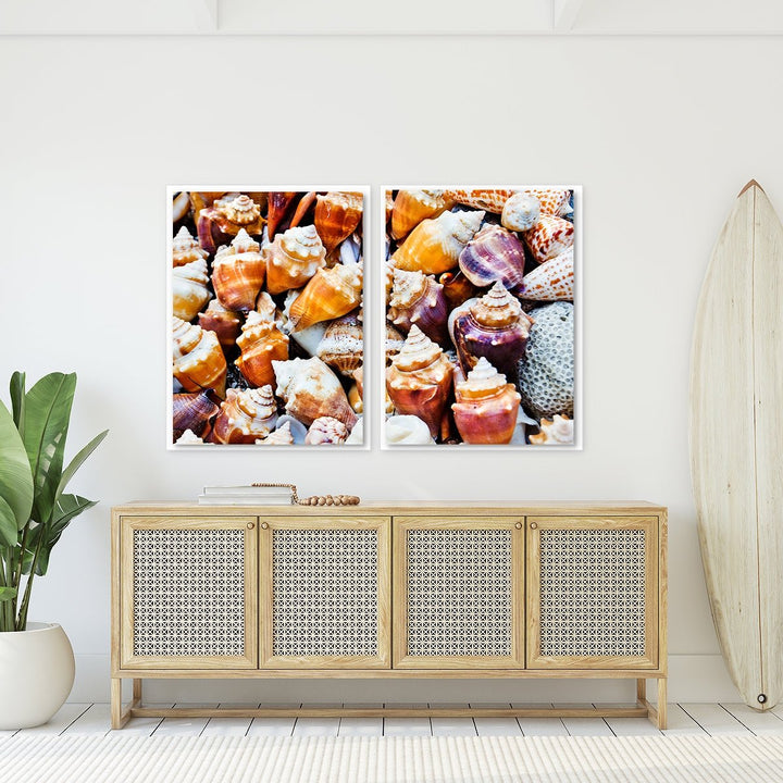 Seashells Beach Print - Set of 2