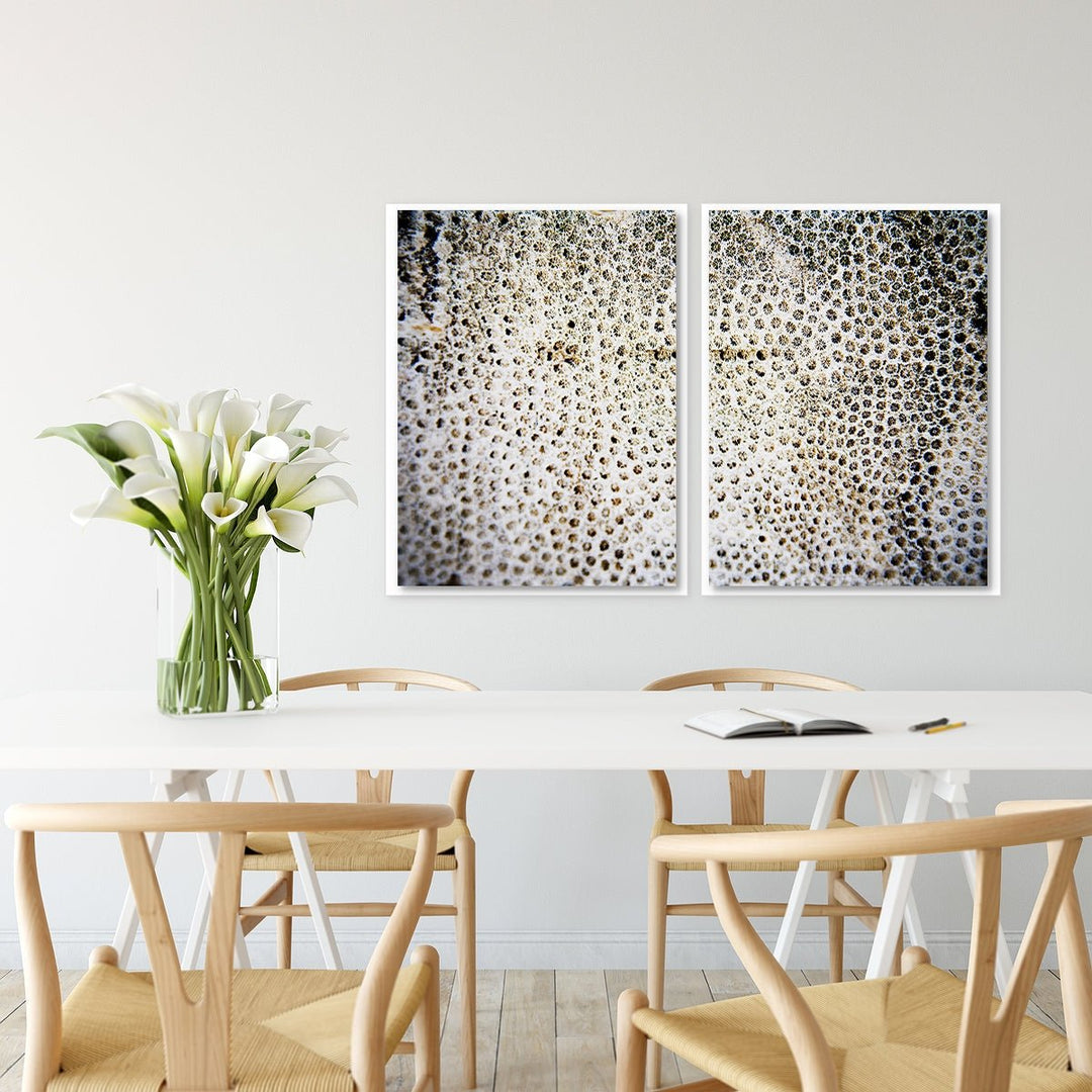 Sea Coral #1 - Set of 2