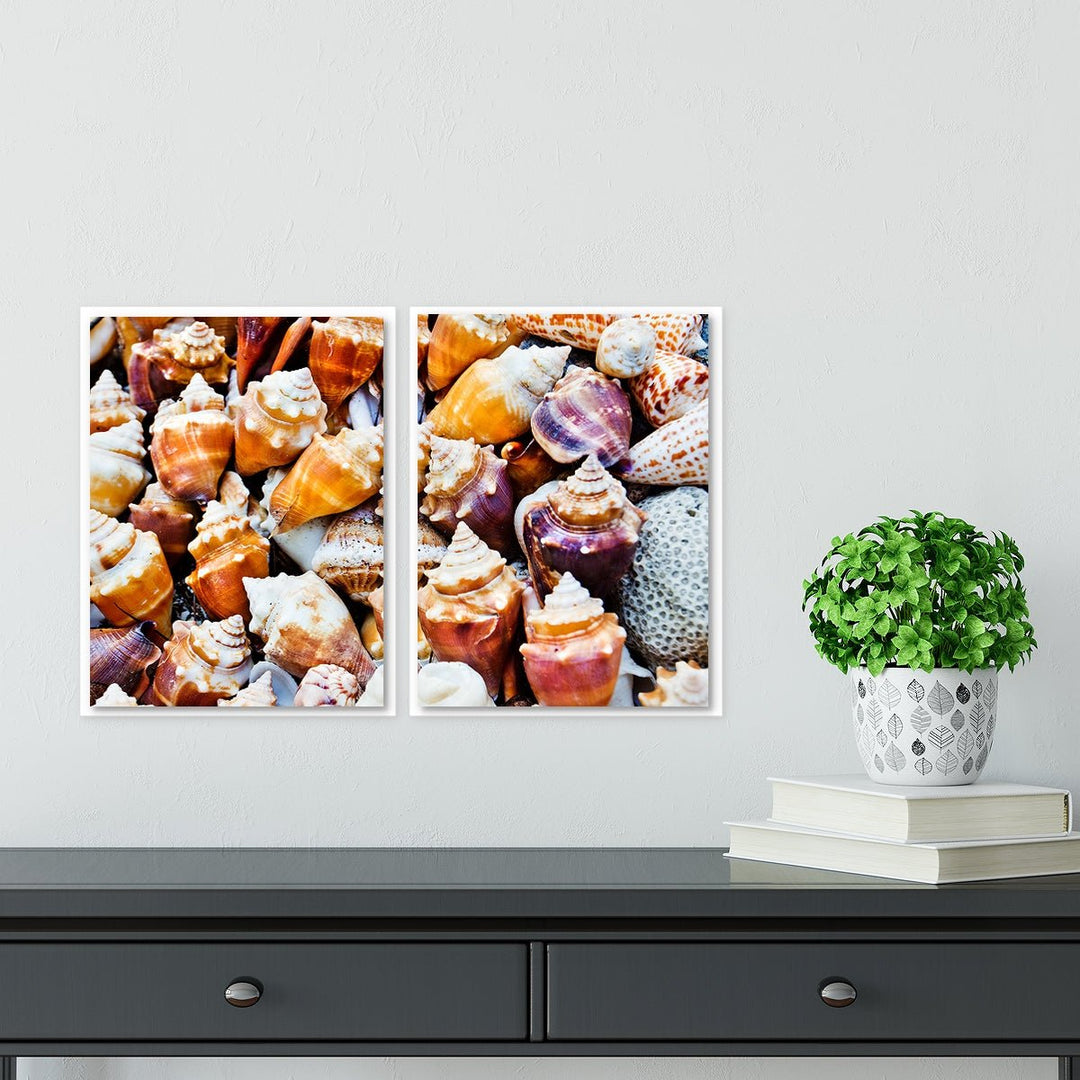 Seashells Beach Print - Set of 2