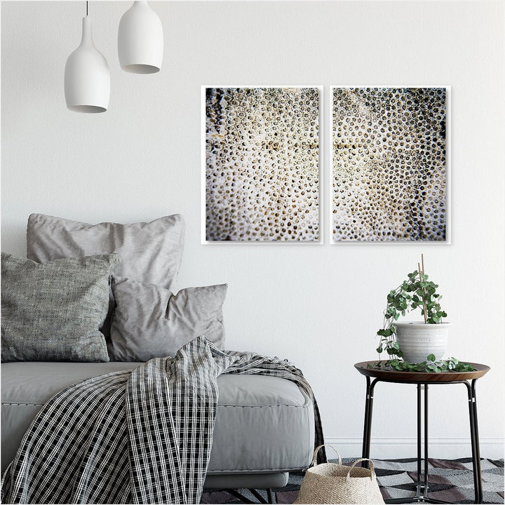 Sea Coral #1 - Set of 2
