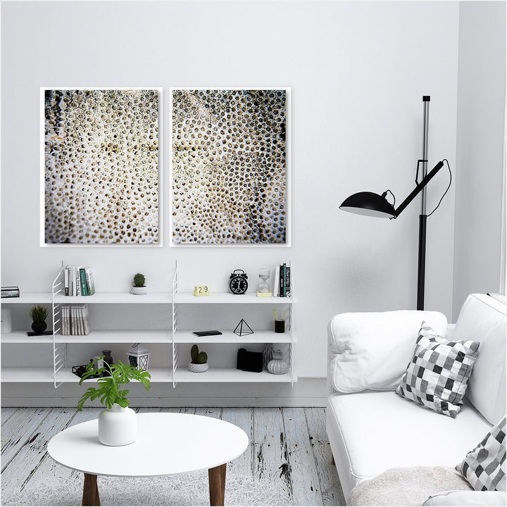 Sea Coral #1 - Set of 2