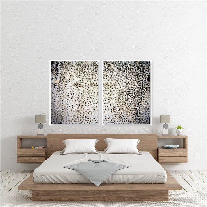 Sea Coral #1 - Set of 2