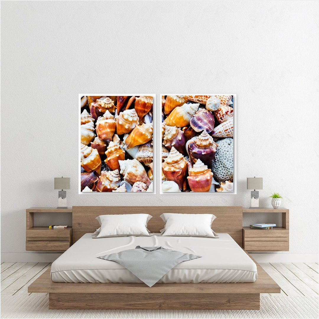 Seashells Beach Print - Set of 2