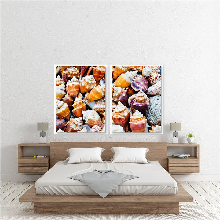 Seashells Beach Print - Set of 2