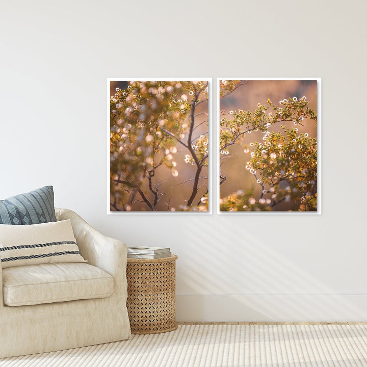 Golden Cactus Bloom - Set of 2