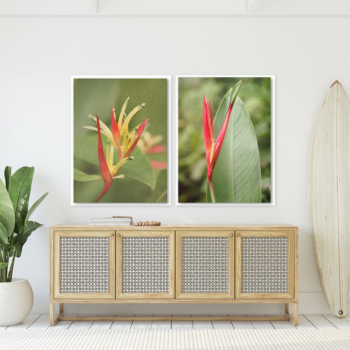 Heliconia - Set of 2