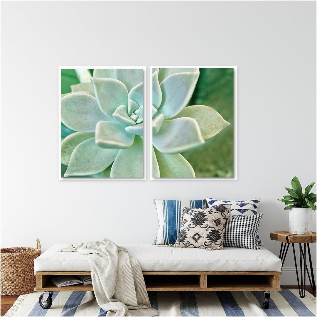 Green Succulent - Set of 2