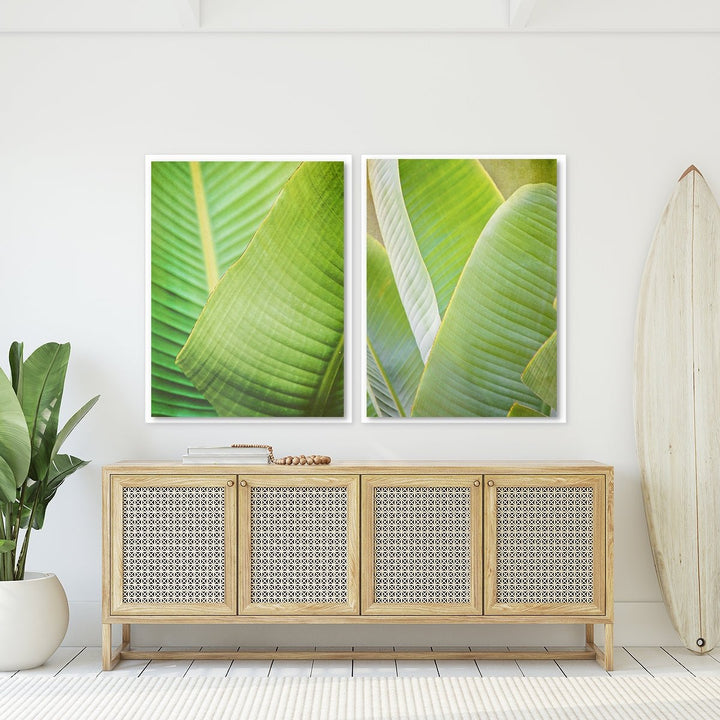 Banana Leaf Collection 1 - Set of 2