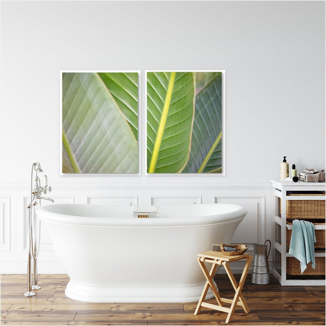 Banana Leaf #3 - Set of 2