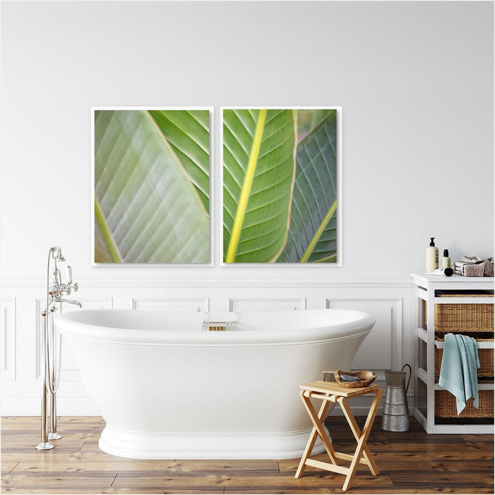 Banana Leaf #3 - Set of 2