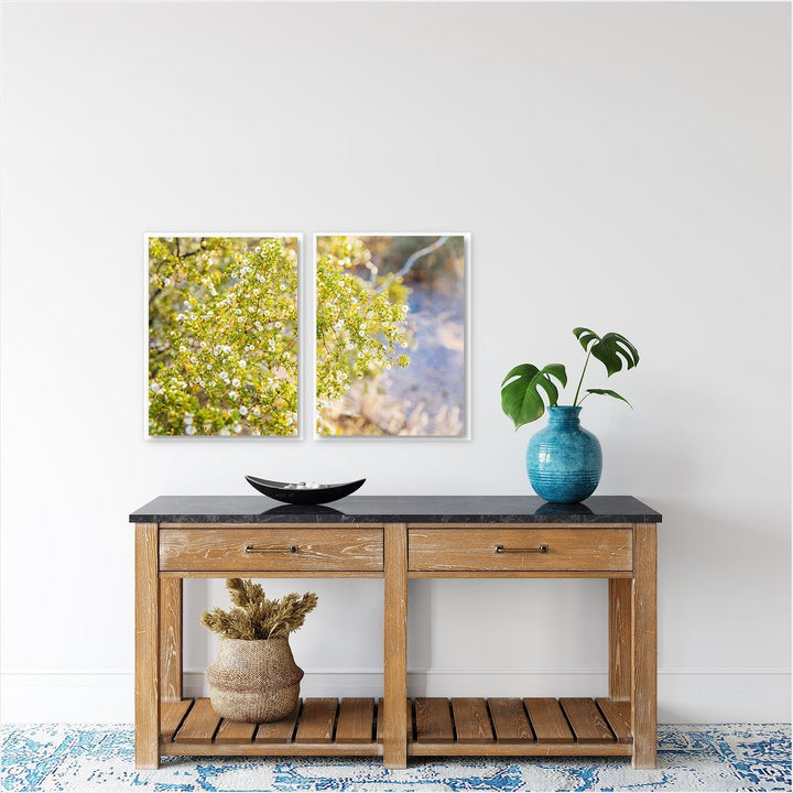 Yellow Desert Bloom #2 - Set of 2