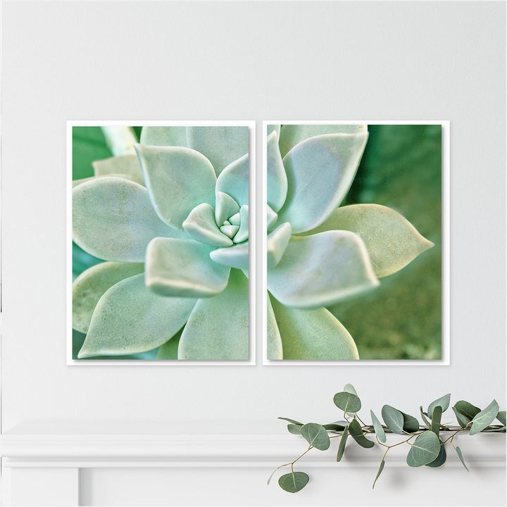 Green Succulent - Set of 2