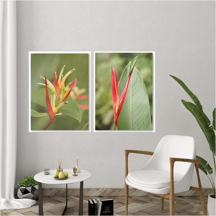 Heliconia - Set of 2