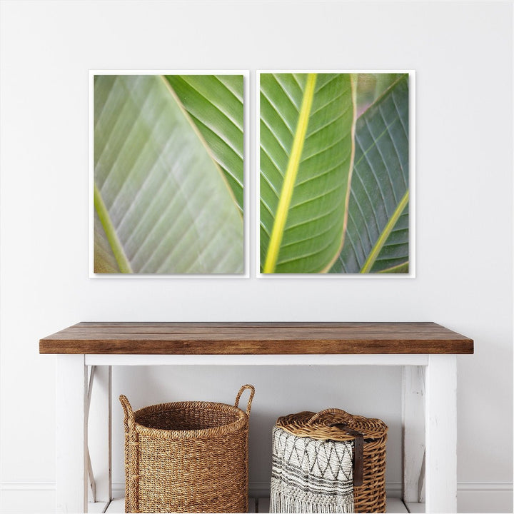 Banana Leaf #3 - Set of 2